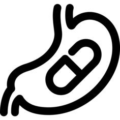 Stomach