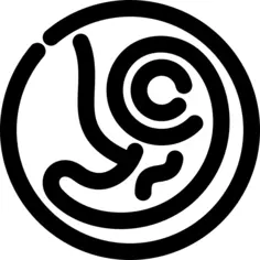 Embryo