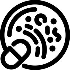 Bacteria