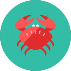 Crab