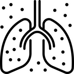 Lungs