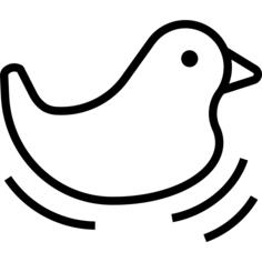 鸭
