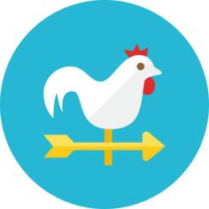 Wind vane