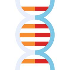 Dna