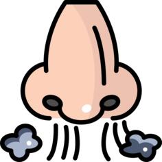 呼吸