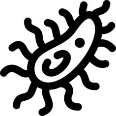 Eukaryote
