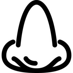 Nose