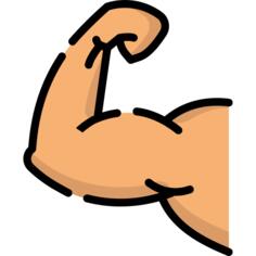 Muscle