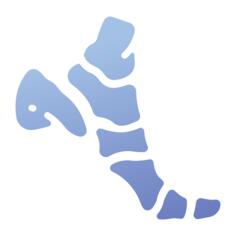 Foot