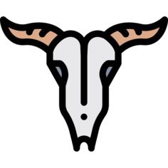 Bull skull