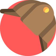 Detective hat