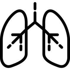 Lungs