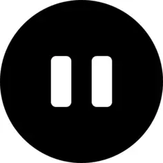Pause Button