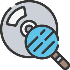 Audit