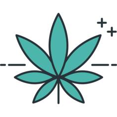 Cannabis