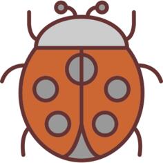 Ladybug