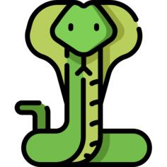 Cobra