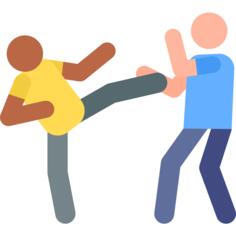 Martial arts