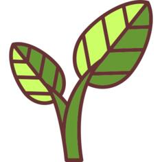 Leaves