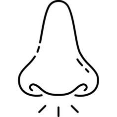 Nose