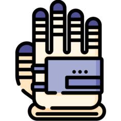 Glove