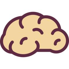 Brain
