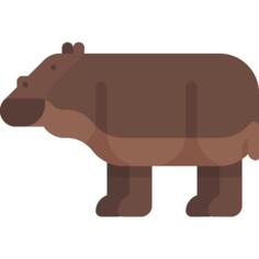 Hippopotamus