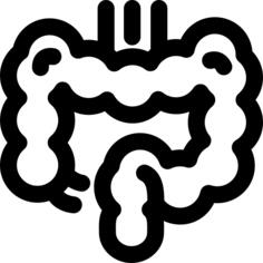 Intestine