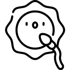 Fertilization