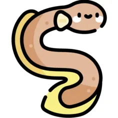 Eel