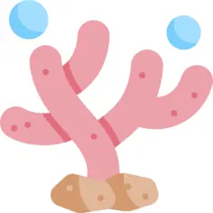 Coral