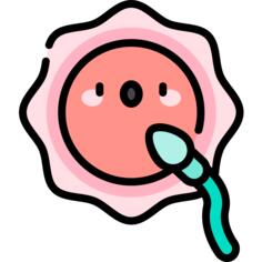 Fertilization