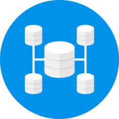 Network