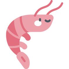 虾