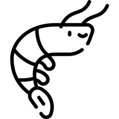 Shrimp