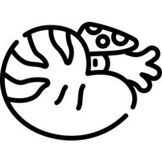 鹦鹉螺