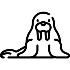 Walrus