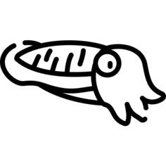 Cuttlefish