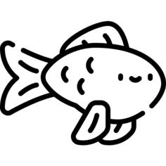 金鱼