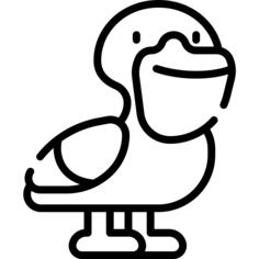 Pelican