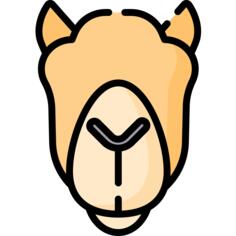 Qurbani