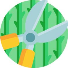 Scissors