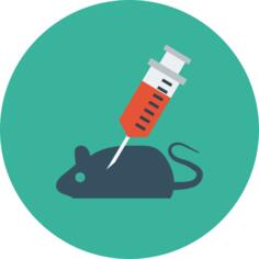Animal testing