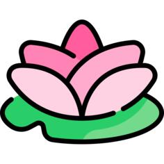 莲花