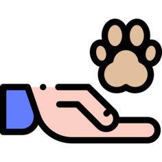 动物