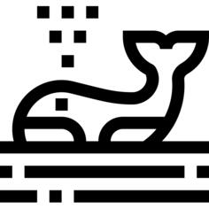 逆戟鲸
