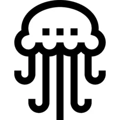Jellyfish