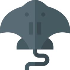 Manta ray