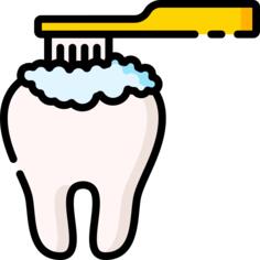 Tooth