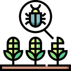 Growth